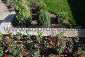 design_landscape (33)